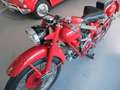 Moto Guzzi Airone Moto Guzzi 250 Rouge - thumbnail 9