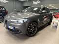 Alfa Romeo Stelvio 2.2 t Executive Q2 190cv auto Grau - thumbnail 1