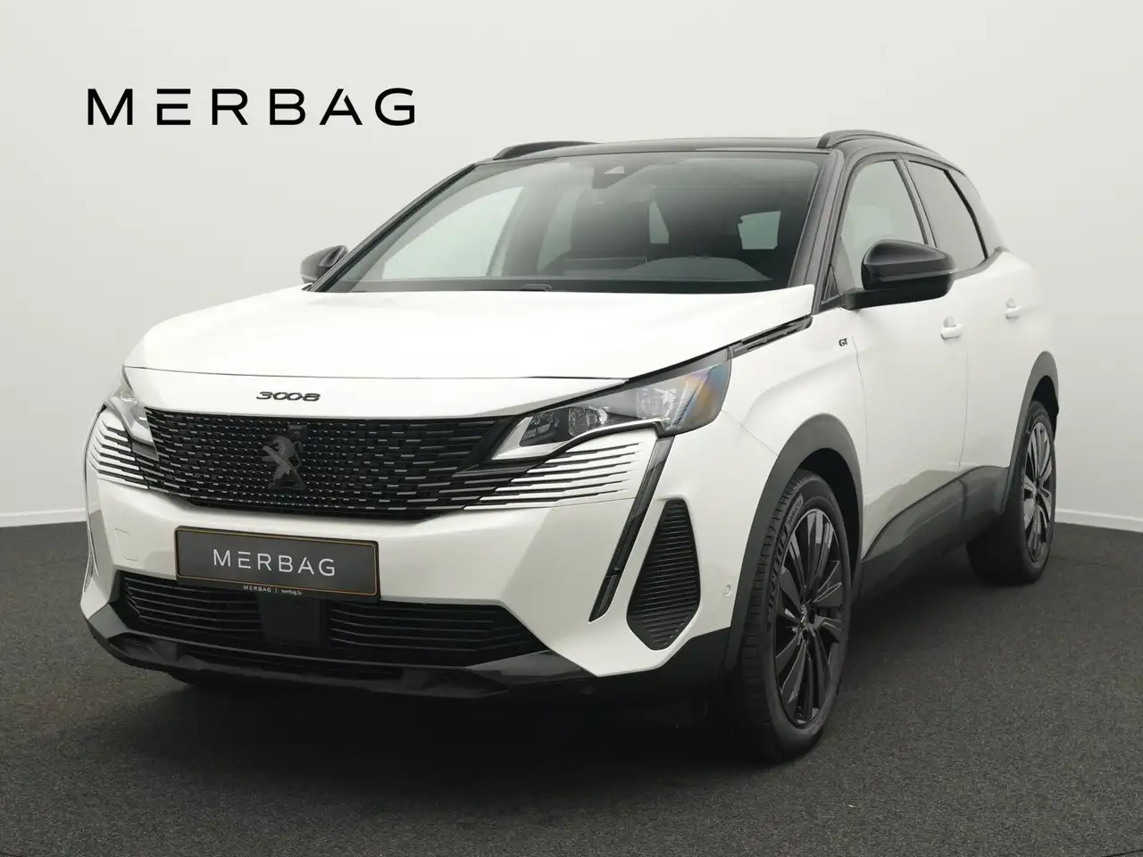 Peugeot 3008 1.5 BlueHDi 130 GT (EURO 6d) Pano.-Dach/LED