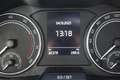 Skoda Kamiq 1.5 TSI ACT Sport Business trekhaak, achteruitrijc Gris - thumbnail 15