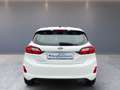 Ford Fiesta 1.0 EcoBoost S&S TITANIUM*WINTERPKT*ACC*CARPLAY Blanco - thumbnail 7