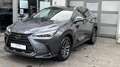 Lexus NX 350h 2,5 HEV FWD EXECUTIVE LINE*Panoramadach* Gris - thumbnail 2