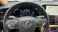 Lexus NX 350h 2,5 HEV FWD EXECUTIVE LINE*Panoramadach* Gris - thumbnail 12