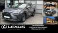 Lexus NX 350h 2,5 HEV FWD EXECUTIVE LINE*Panoramadach* Gris - thumbnail 1