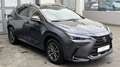 Lexus NX 350h 2,5 HEV FWD EXECUTIVE LINE*Panoramadach* Gris - thumbnail 15