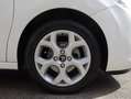 Citroen C3 C3 1.6 bluehdi Exclusive 75cv Bianco - thumbnail 15