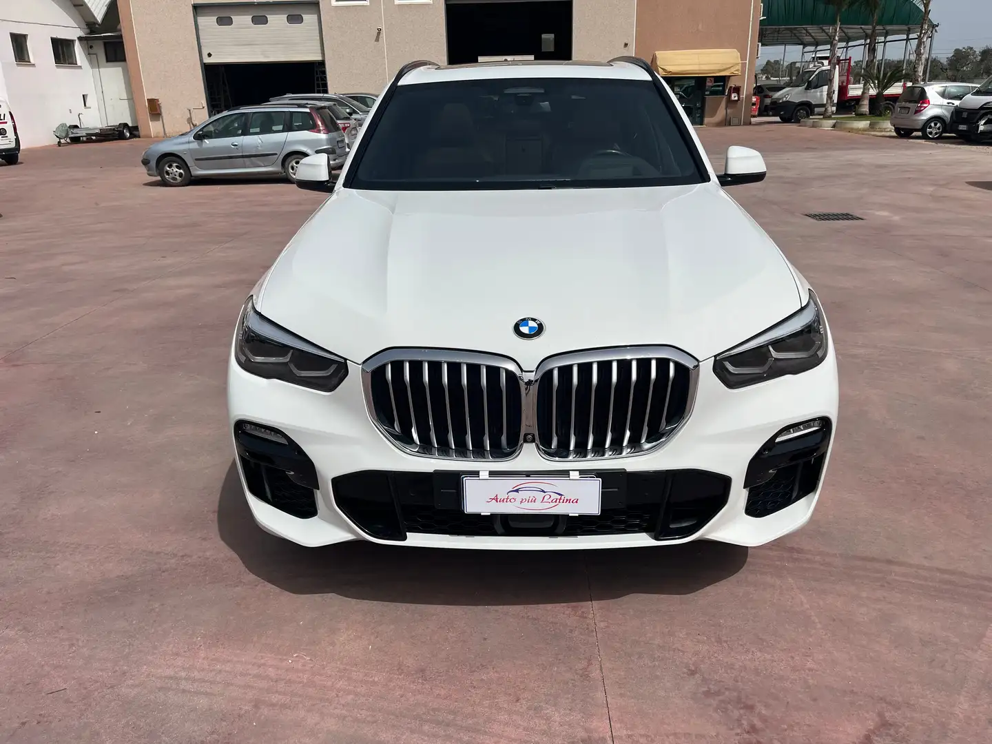 BMW X5 X5 xdrive30d Msport auto Bianco - 2