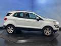 Ford EcoSport 1.0 EcoBoost Trend Ultimate Airco | Cruise | Navi Weiß - thumbnail 10