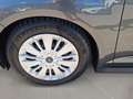 Ford C-Max Trend 1,0 EcoBoost 100PS Grau - thumbnail 11