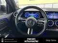 Mercedes-Benz EQB 350 EQB 350 4M AMG Winter+Kamera+CarPlay+2000€Bonus Noir - thumbnail 22