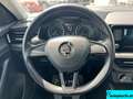 Skoda Kamiq 1,6 TDI Active DSG Weiß - thumbnail 15