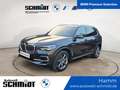 BMW X5 xDrive30d xLine + 2Jahre-BPS.-GARANTIE Grau - thumbnail 1