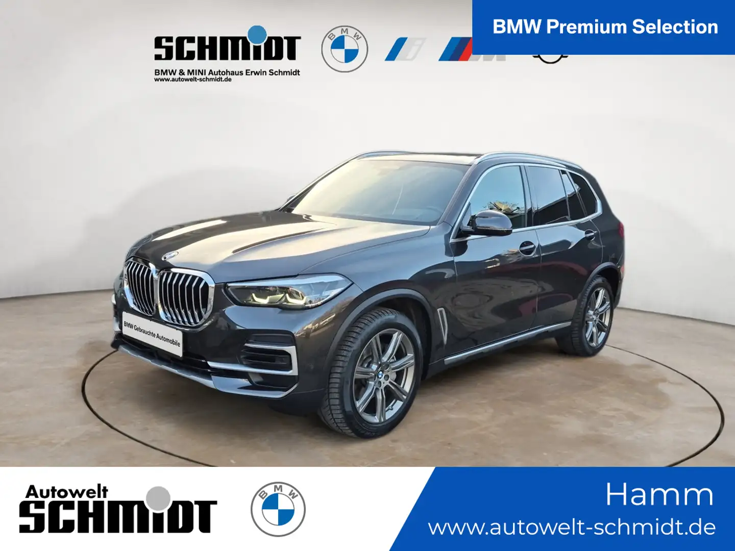 BMW X5 xDrive30d xLine + 2Jahre-BPS.-GARANTIE Grau - 1