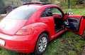 Volkswagen Beetle 1.6 CR TDi Design Rouge - thumbnail 22