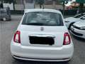 Fiat 500 1.0 hybrid Dolcevita 70cv Weiß - thumbnail 6