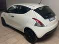 Lancia Ypsilon Ypsilon 1.2 Elefantino Blu s Bianco - thumbnail 5