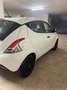 Lancia Ypsilon Ypsilon 1.2 Elefantino Blu s Bianco - thumbnail 8