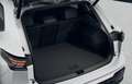 Volkswagen Tiguan Sport eHybrid DSG / 403 / € 2500,- PB Bonus Weiß - thumbnail 9