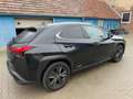 Lexus UX 250h Business 1,4kWh Aut. Schwarz - thumbnail 4