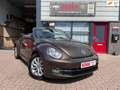 Volkswagen Beetle 1.2 TSI Design BlueMotion Brown - thumbnail 1