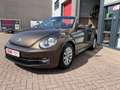 Volkswagen Beetle 1.2 TSI Design BlueMotion Brown - thumbnail 3