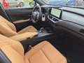 Lexus UX 300h F Sport Design ACC FLA SpurH LM Grau - thumbnail 9