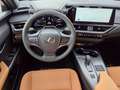 Lexus UX 300h F Sport Design ACC FLA SpurH LM Grau - thumbnail 7