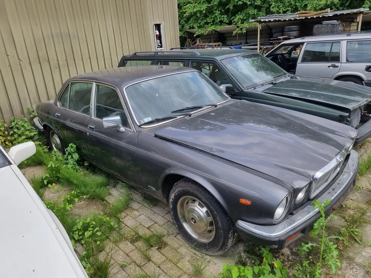 Jaguar XJ 4.2 - 1