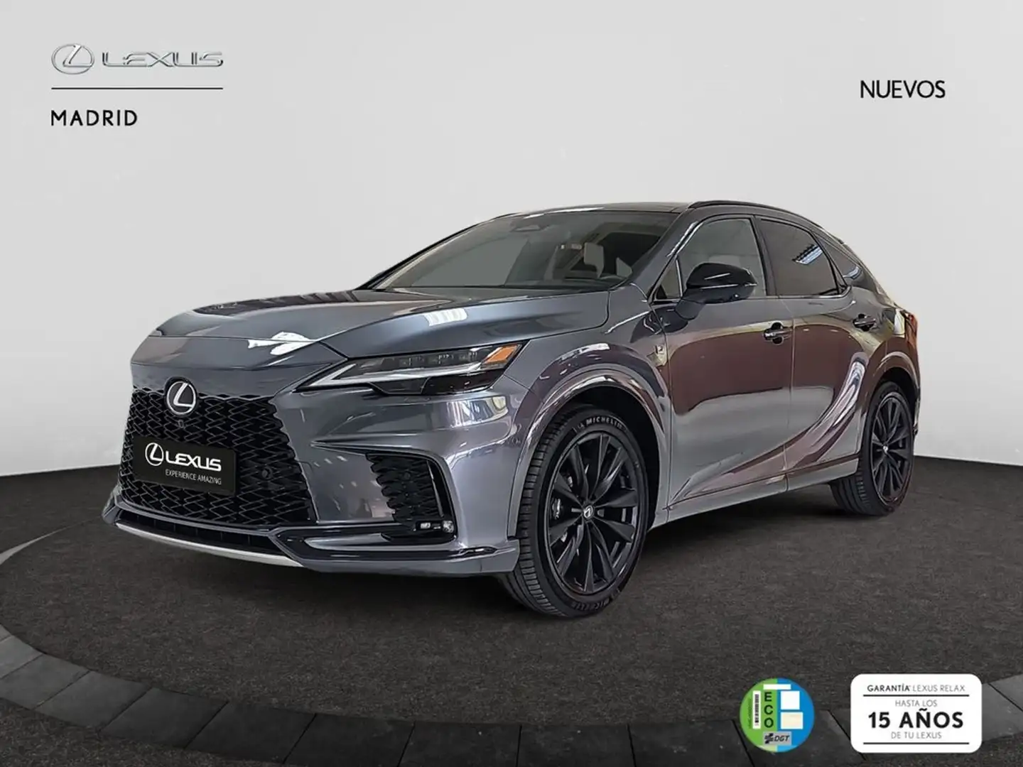 Lexus RX 450h 500h F Sport Gris - 2