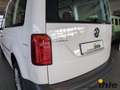 Volkswagen Caddy Conceptline 1,0 TSI KLIMA+BLUETOOTH+TEMPOMAT Weiß - thumbnail 15