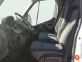 Renault Master Furgoneta/Caja/2299 cm³/163cv Blanco - thumbnail 21