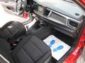 Kia Rio 1.2 Sensation ~ Navi ~ Kamera ~ Klima Rouge - thumbnail 10