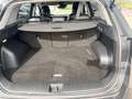 Kia Sportage 1,6 CRDI 48V Launch Edition Grau - thumbnail 14