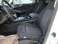 Ford Galaxy Titanium Weiß - thumbnail 11