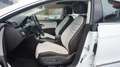 Volkswagen CC Basis BMT PANO NAVI SHZ KAMERA BI-XENON 184PS Blanco - thumbnail 19