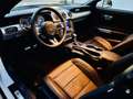 Ford Mustang GT Fastback 5.0l V8 450cv TiVCT Aut.-  A. White Blanc - thumbnail 10