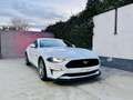 Ford Mustang GT Fastback 5.0l V8 450cv TiVCT Aut.-  A. White Bianco - thumbnail 4