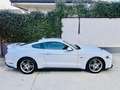 Ford Mustang GT Fastback 5.0l V8 450cv TiVCT Aut.-  A. White Blanc - thumbnail 7