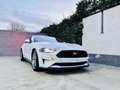 Ford Mustang GT Fastback 5.0l V8 450cv TiVCT Aut.-  A. White White - thumbnail 1