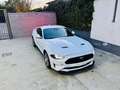 Ford Mustang GT Fastback 5.0l V8 450cv TiVCT Aut.-  A. White Bianco - thumbnail 2