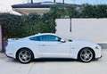 Ford Mustang GT Fastback 5.0l V8 450cv TiVCT Aut.-  A. White White - thumbnail 5