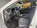 Toyota RAV 4 2.5 HV Blanco - thumbnail 24