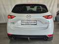Mazda CX-5 /G194/AWD/AT/Rev.Top Weiß - thumbnail 5