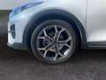 Kia XCeed Xdition 1.5 Navi Klimaautom Rückfahrkam. LED Apple Weiß - thumbnail 14