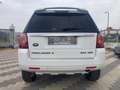 Land Rover Freelander 2.2 SD4 S.W. HSE Wit - thumbnail 6