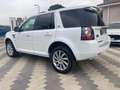 Land Rover Freelander 2.2 SD4 S.W. HSE Wit - thumbnail 5