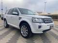 Land Rover Freelander 2.2 SD4 S.W. HSE Wit - thumbnail 1