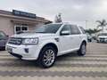 Land Rover Freelander 2.2 SD4 S.W. HSE Wit - thumbnail 2