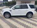 Land Rover Freelander 2.2 SD4 S.W. HSE Wit - thumbnail 8