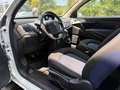 Lancia Ypsilon 1.2 MARCIANTE CARROZZERIA DA RIVEDERE *LEGGI*!! Bianco - thumbnail 5